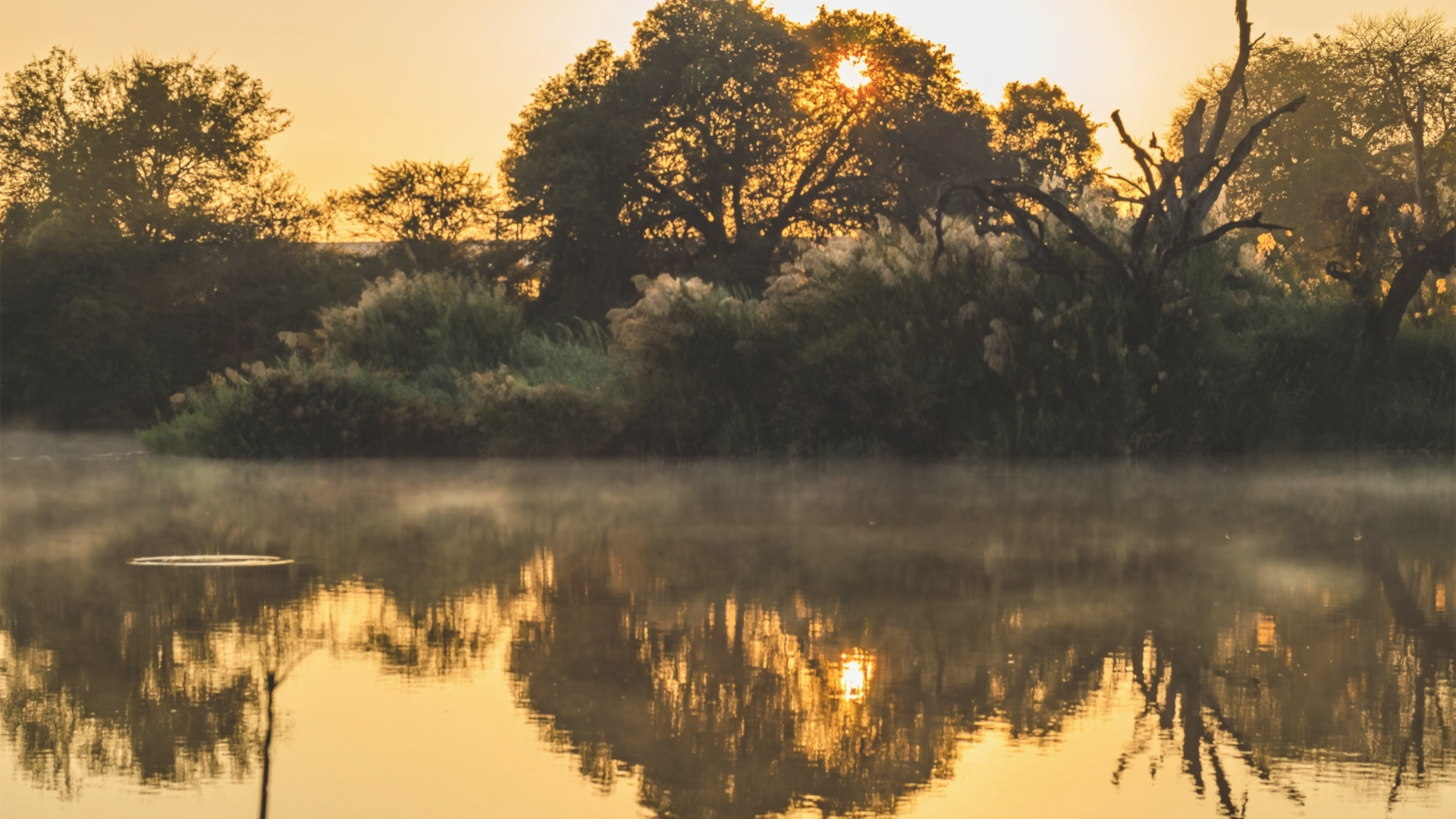 The Mogalakwena River at Makoppas Nest
